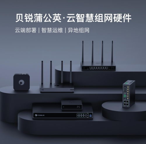 貝銳蒲公英異地組網(wǎng)路由器銷量再奪第一，領(lǐng)跑中國市場